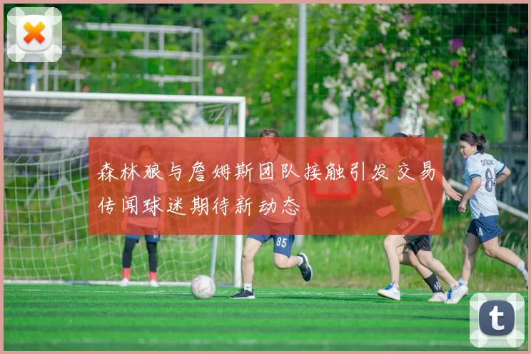 森林狼与詹姆斯团队接触引发交易传闻球迷期待新动态